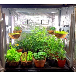 Lona manta Refletiva Para Estufa Cultivo Indoor Grow Box Dupla Face 2x1m Aluminizada Termica Envio Imediato (1)