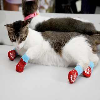 Meia Para Pet Antiderrapante Cães Gatos Sapatos Socks Dog Cat Meias Pets Cachorro Gato (8)