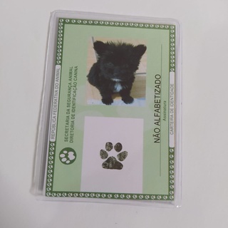 Rg Pet Identidade Pet Cachorro Gato Estimação Impresso e plastificado (4)
