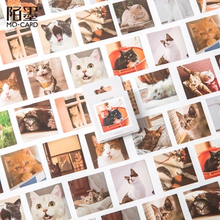 46 unidades / caixa Conjunto de adesivos de gato fofo para decoração de adesivos Kawaii Jornal de scrapbook