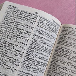 Bíblias e livros religiosos (coreanos) (4)
