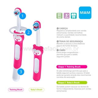 Escova de dente infantil MAM Baby training Brush +6 meses contém 2 escovas para os primeiros dentes (4)
