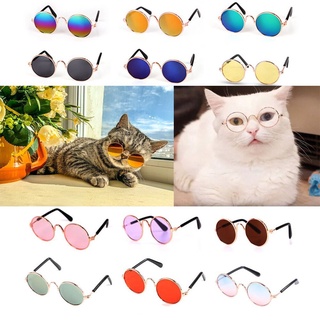 Óculos Pet Cachorro Gato Diversas Cores (2)