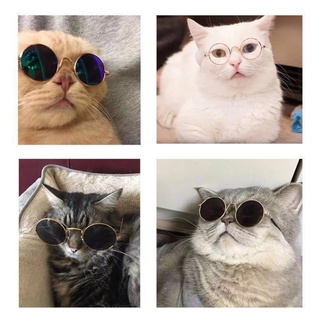 Óculos De Sol Para Animais De Estimação Cães E Gatos (7)
