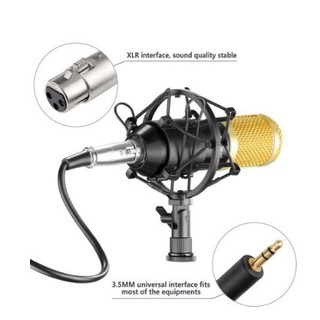 Microfone Estúdio Profissional Bm800 Condensador (4)