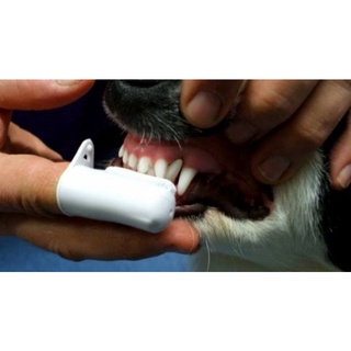 Escova de dentes dedeira para caes e gatos (2)