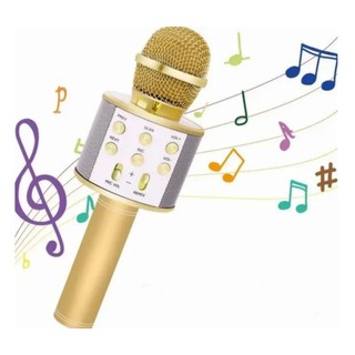 Microfone Karaokê Wireless Sem Fio Cores Variadas - Ws858