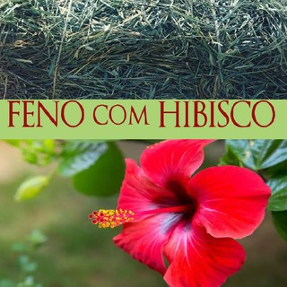 Feno Coast Cross com Hibisco - 500g NUTRIPANSPETS