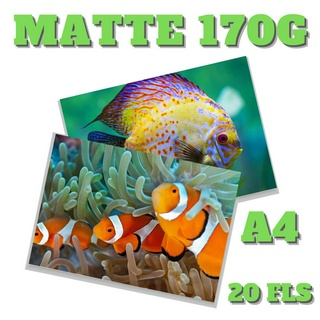 Matte 170g (A4 20 fls) Papel Fotográfico Fosco p/ Jato de Tinta