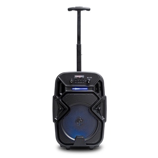 Caixa De Som Bluetooth Karaokê Amplificada 10w Com Rodinhas Led Controle