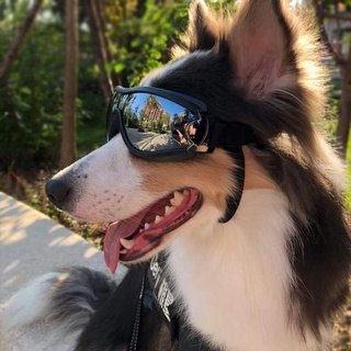 Óculos De Proteção Para Cachorros/À Prova D'água , De Vento , Raios Ultravioleta , Grandes , Suprimentos (8)