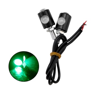 Eagle Eye LED Turn Signal Lamp Luzes Decorativas Luz Da Placa De Licença Motocicleta Universal Sinais De Volta Lanterna Traseira 1 Par (7)