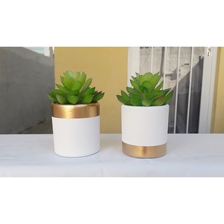 Kit Com 2 Vasos para Decoração tipo Cachepot (Cactos E Suculentas) Nº 7 - Branco e Dourado