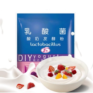 iogurte infinito -, cultura inicial Original Com 5 tipos de probióticos 1 Starters de 1 g