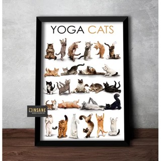 Quadro Yoga Gatos Yoga Cat Pet Decoracao