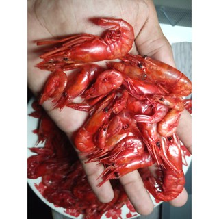 1 Kg camarão pequeno e seco salgado da Bahia para acarajé, abará, caruru vatapá (2)