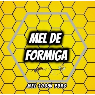 Kit 04 Mel Silvestre 500g com bico dosador Multifloral Mel de Abelha Europa Africanizada Apis Mellifera (6)