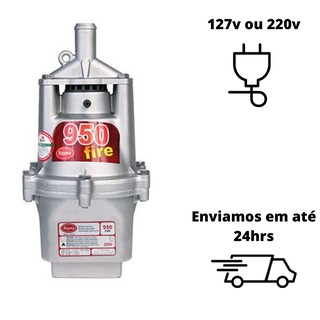 Bomba Modelo Sapo Rayma 950F Poço Cisterna Rio 110v E 220v Sapinho