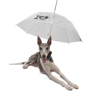 Guarda-chuva Pet Passeio Para Cachorro Fazzoletti