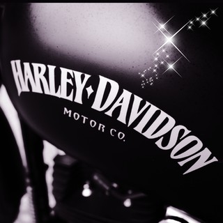 Adesivo Harley Davidson - Adesivos Tanque Harley Davidson Iron 883 - 4 adesivos brilho - 10 cores - Moto Harley