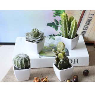 Kit 10 Mini Vasos Cachepot Branco de Plástico para mini suculentas e cactus