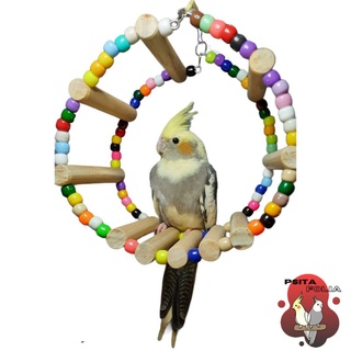Roda Gigante Brinquedo para Calopsita, Agapornis, Periquitos e outras aves