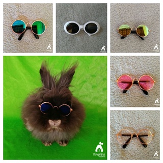 Óculos Pet Para Raças Pequenas
