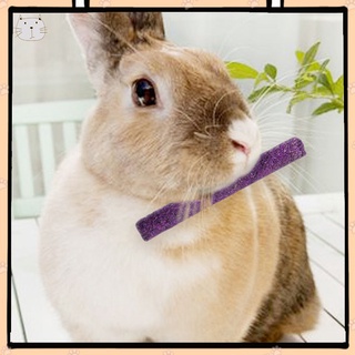 Hay Mastigar Vara Pet Molar Brinquedo Pequenos Animais Deleites De Dentes Acessórios Tratores Para Coelho Chinchila Guinea Porquinhos Hamster (2)
