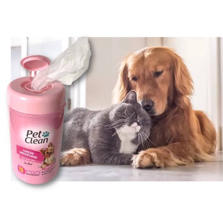 Lencinho Umedecido Perfumado Para Limpeza de Cães e Gatos Pet Clean Banho a Seco