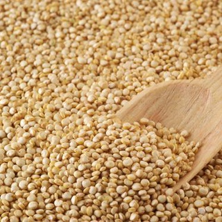 Quinoa REAL em grãos - orgânica - 150g