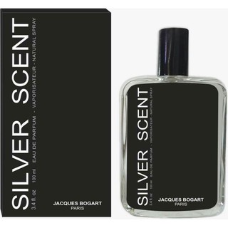 Perfume Masculino Silver Scent 100 ml