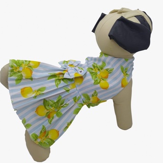 Vestido Pet - Estampas SORTIDAS - Vestido para pet pequeno - Roupa para cachorro fêmea (5)