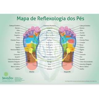 Mapa de Reflexologia dos Pés / Reflexologia Podal Plastificado