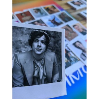 16 Polaroids Harry Styles