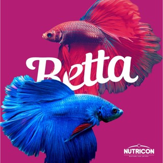 Ração Peixe Betta Nutribetta 5g Nutricon (2)