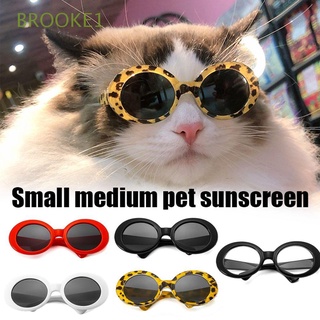 Brooke1 Fotos Props Rodada Pet Óculos Pet Produtos Accessoires Para Pequeno Gato Gato Óculos De Sol Óculos De Sol Do Gato