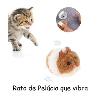 Kit Brinquedos De Gato Rato Bolinha Sisal Varinha Sino Pena (7)