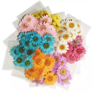 Flor Seca Natural Prensada Para Artesanato - Embalagem contém 6 flores resina epóxi cores variadas
