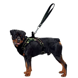 Coleira Peitoral Personalizada Pit Bull Pet K9 Para Pitbull Cachorro Grande Dog Collars FlyHarness (3)