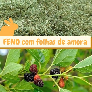 Feno Coast Cross com Folhas de Amora - 500g (1)