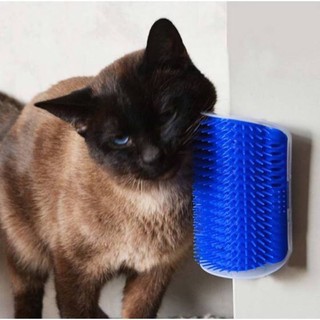 Coçadinha / Escova Coça Gatos com Catnip (inclusa) (1)
