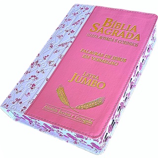 Bíblia Sagrada Letra Jumbo com Harpa Feminina Botão e Caneta Flores Índice Almeida Corrigida Feminina Florida Rosa