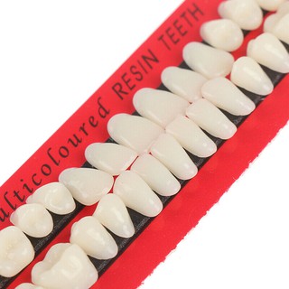 28 unidades / conjunto de resina acrílica para próteses dentárias dentes superio