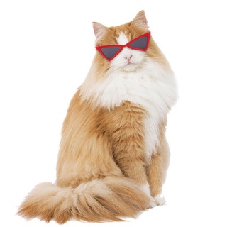 2022 Ano Novo Festival Primavera Pet Óculos Triângulo Acessórios Para Cães E Gatos Cor Engraçado De Plástico Transparente Gato (5)