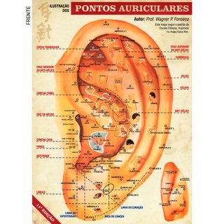 Mapa Pontos Acupuntura Auricular Chinesa Auriculoterapia - A4 Plastificado