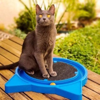 Super cat relax pop furacaopet (azul) - Furacão Pet
