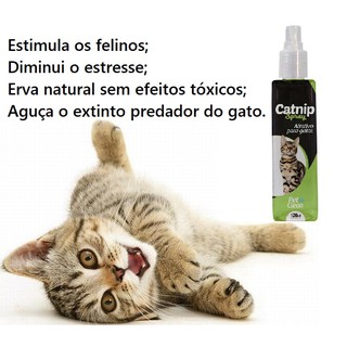 Catnip Erva do Gato Spray Pet Clean 120ml (2)