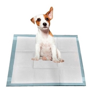 Tapete Higiênico Cães Pets Mega Seco Ultra Absorvente 30un 70x60cm (5)
