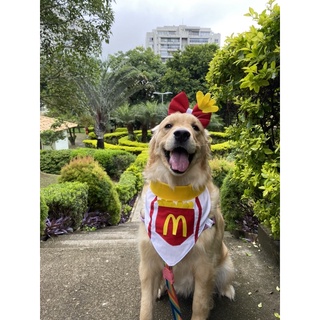 Bandana Pet| Acessórios Pet| Carnaval Pet | Bandanas para cães| Bandana McDonald’s| Fantasia Pet| Fantasia para cachorro| Fantasia de cachorro| McDonald’s | McDonald’s Pet