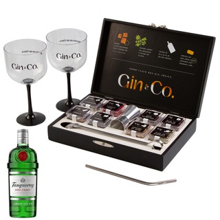 Kit Gin 8 Especiarias + Taças + Canudo + Gin Tanqueray 750ml